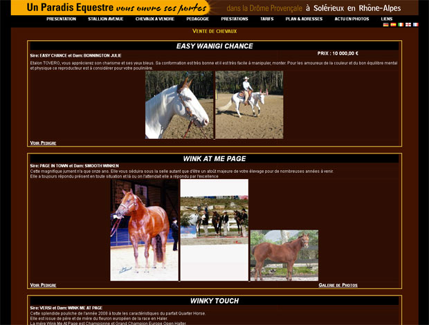 Maintenance d'un site internet : versatilestudranch